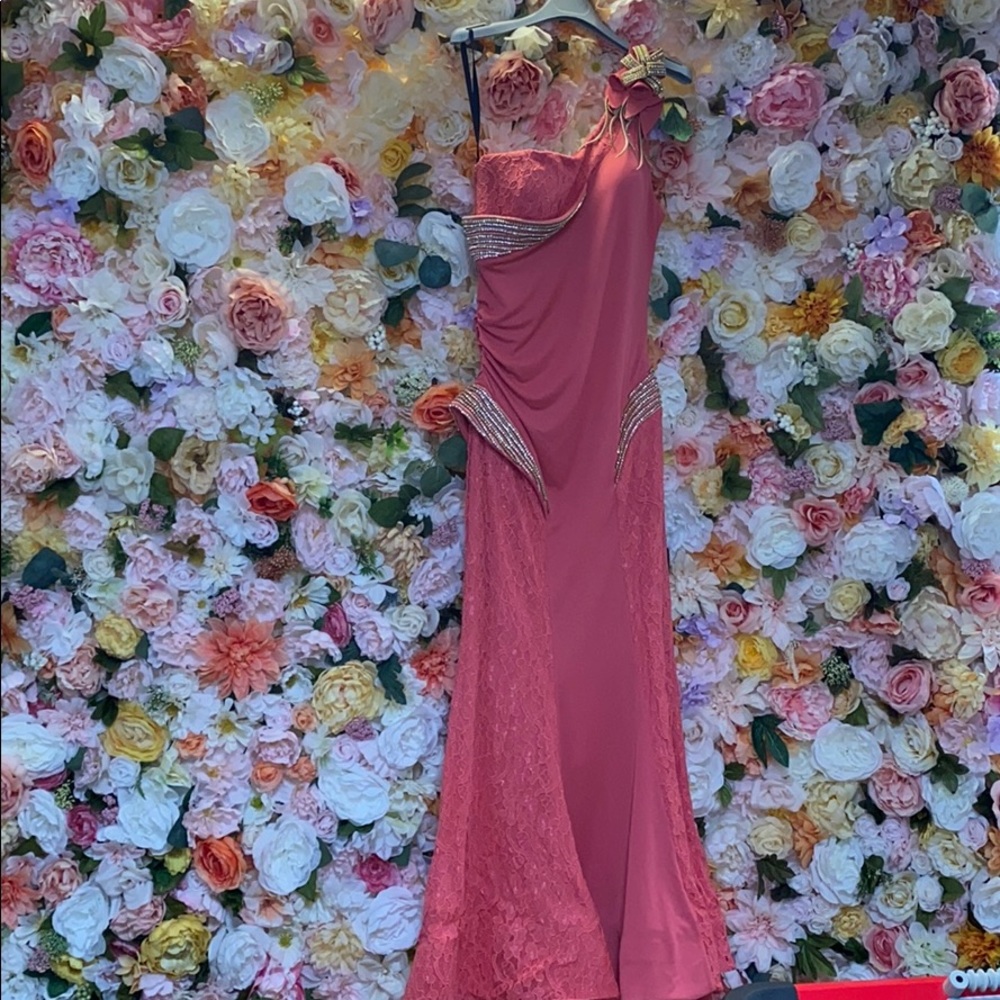 Free Shipping Size 6. Lace Embellished Gown
